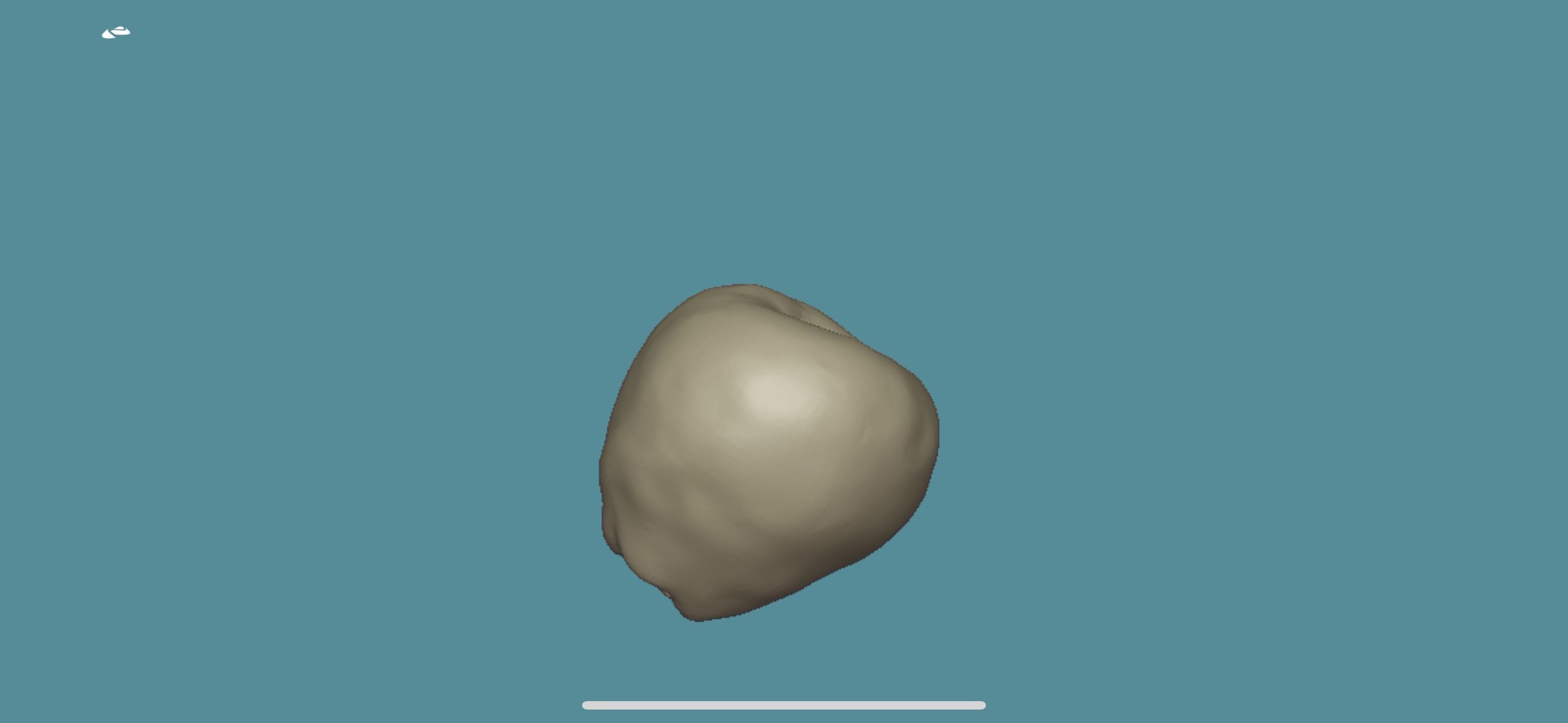 Granny smith Apple Low-poly 3D model_3