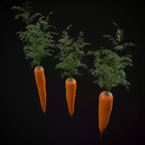 Carrots Low-poly 3D model