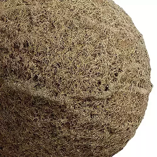 Grass Seamless Texture 2K - EXR 5 - JPG 5 Texture