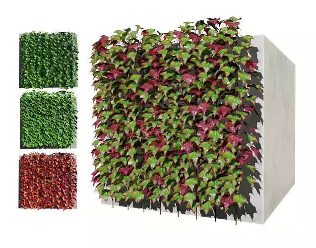Boston and Virginia Creeper with free tutorial Low-poly 3D model