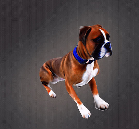 Boxer dog sitting 3d model 3D print model