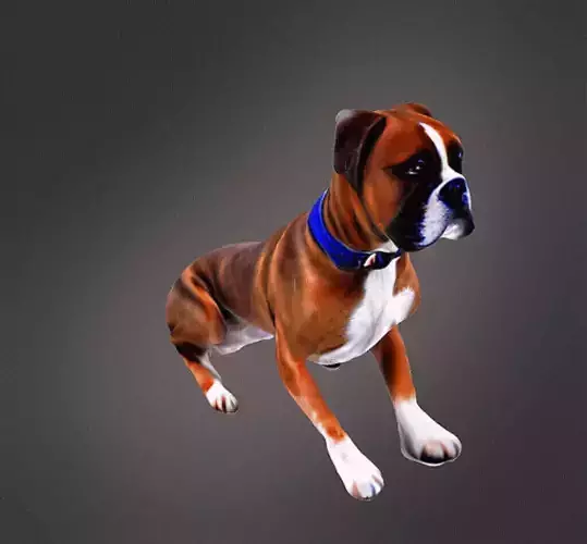 Boxer dog sitting 3d model 3D print model