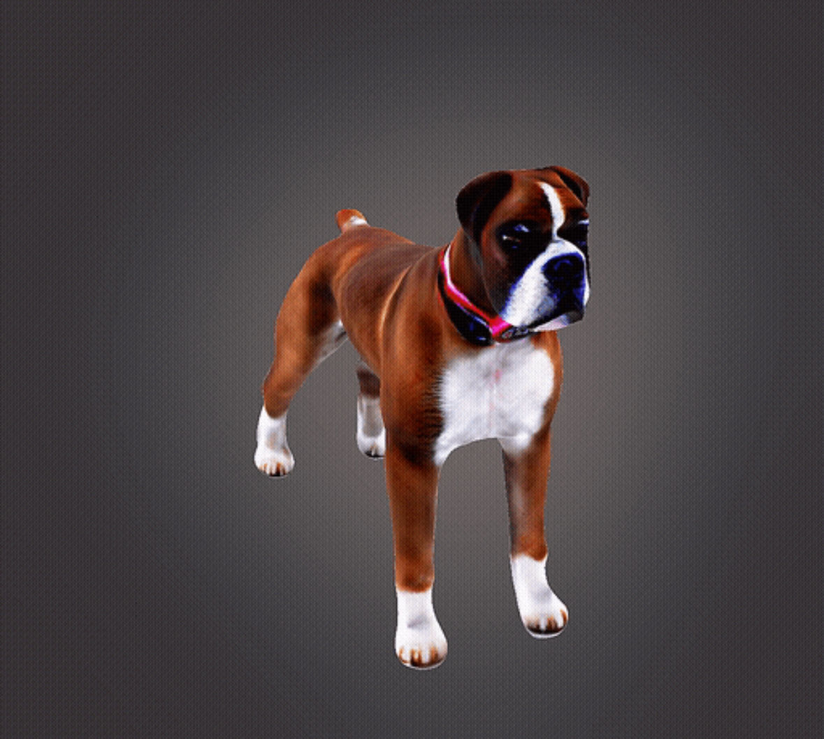 Boxer dog 3d model 3D print model_4