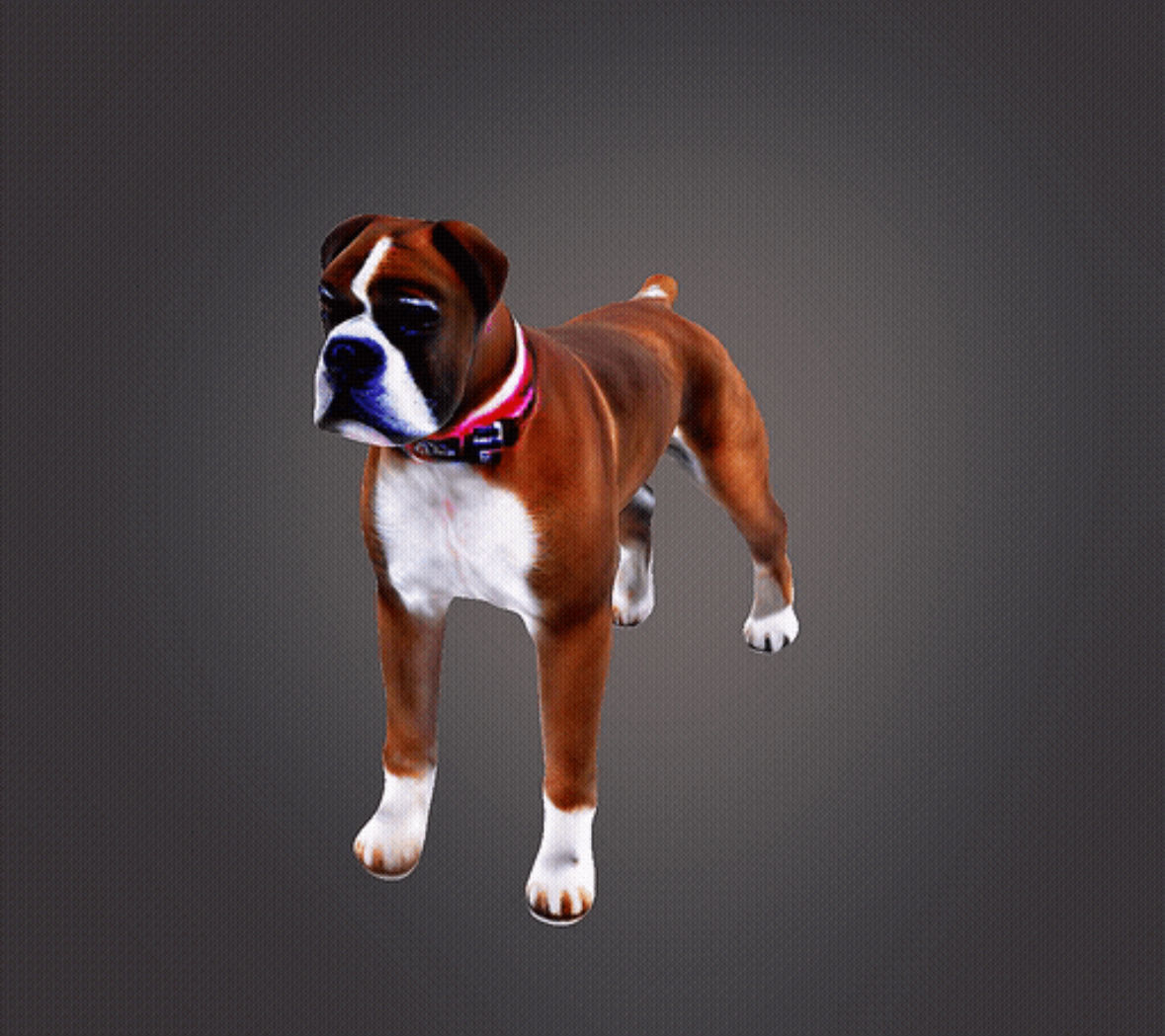 Boxer dog 3d model 3D print model_3