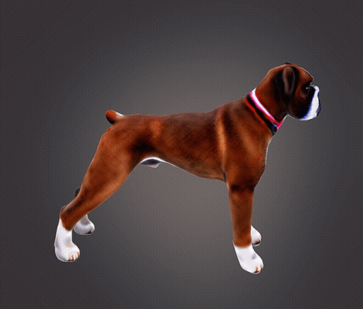 Boxer dog 3d model 3D print model_6
