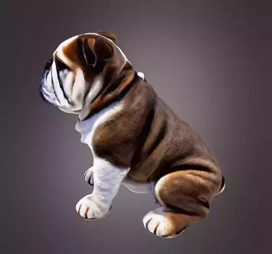 Bulldog 3d bust