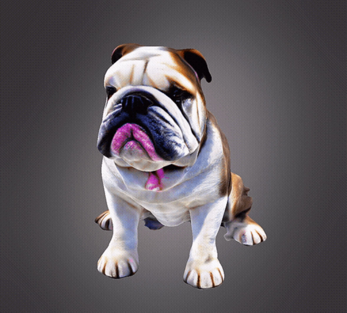 Bulldog 3d bust 3D print model_5