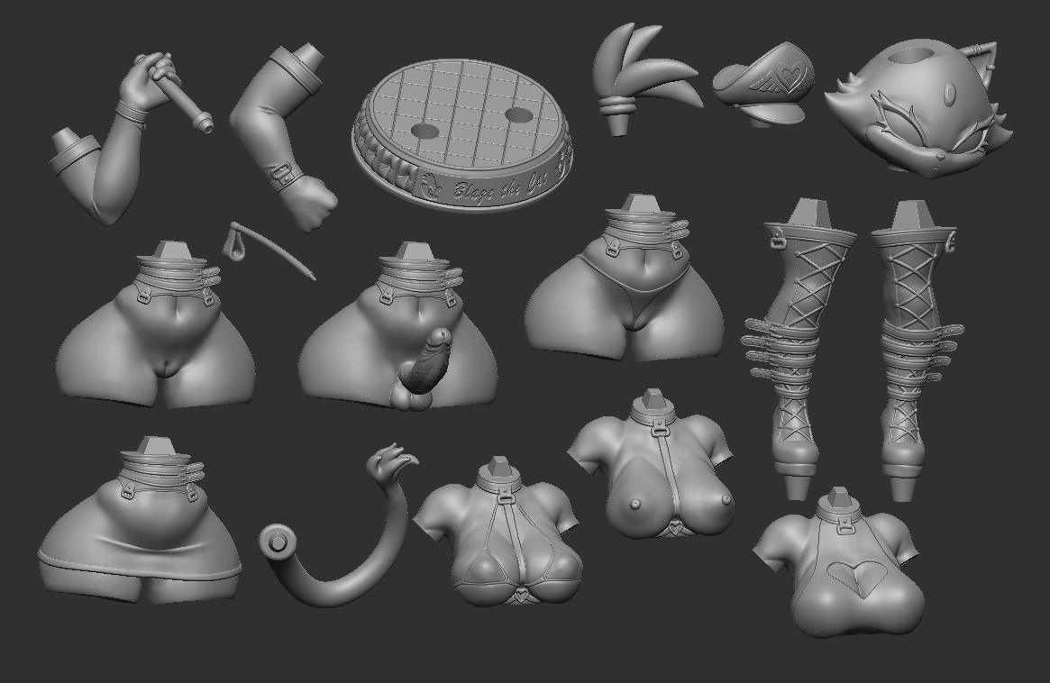 BLAZE THE CAT ULTRA THICC 3D PRINT MODEL 3D print model_13