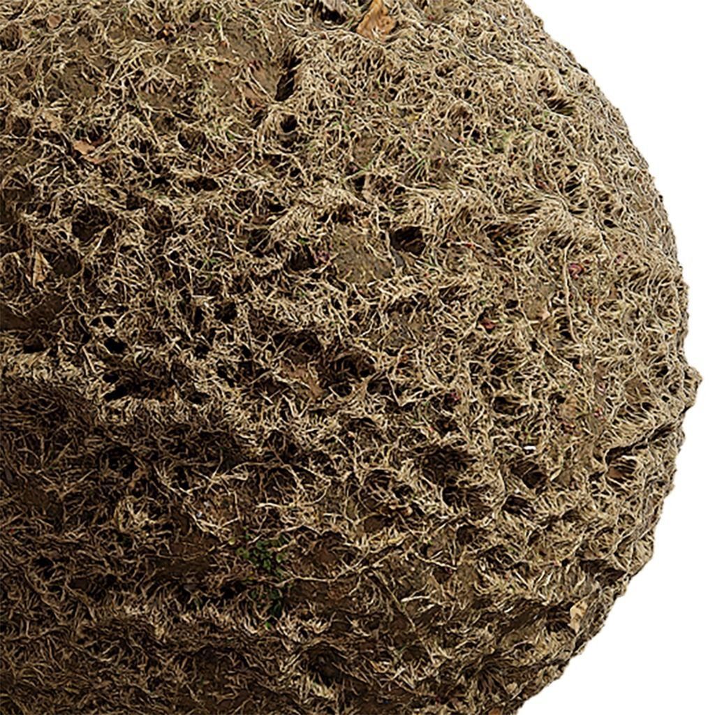 Grass Seamless Texture 2K - EXR 5 - JPG 5 Texture Texture_3