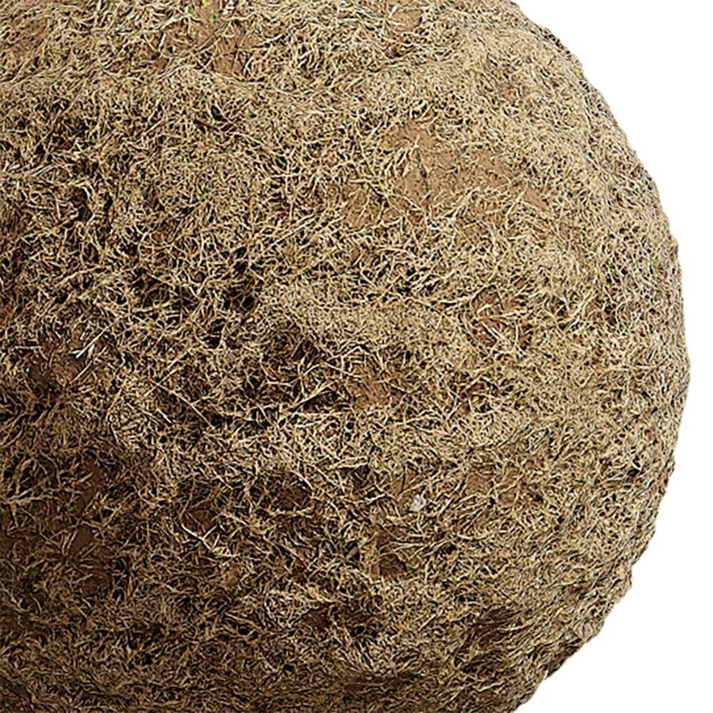 Grass Seamless Texture 2K - EXR 5 - JPG 5 Texture Texture_4