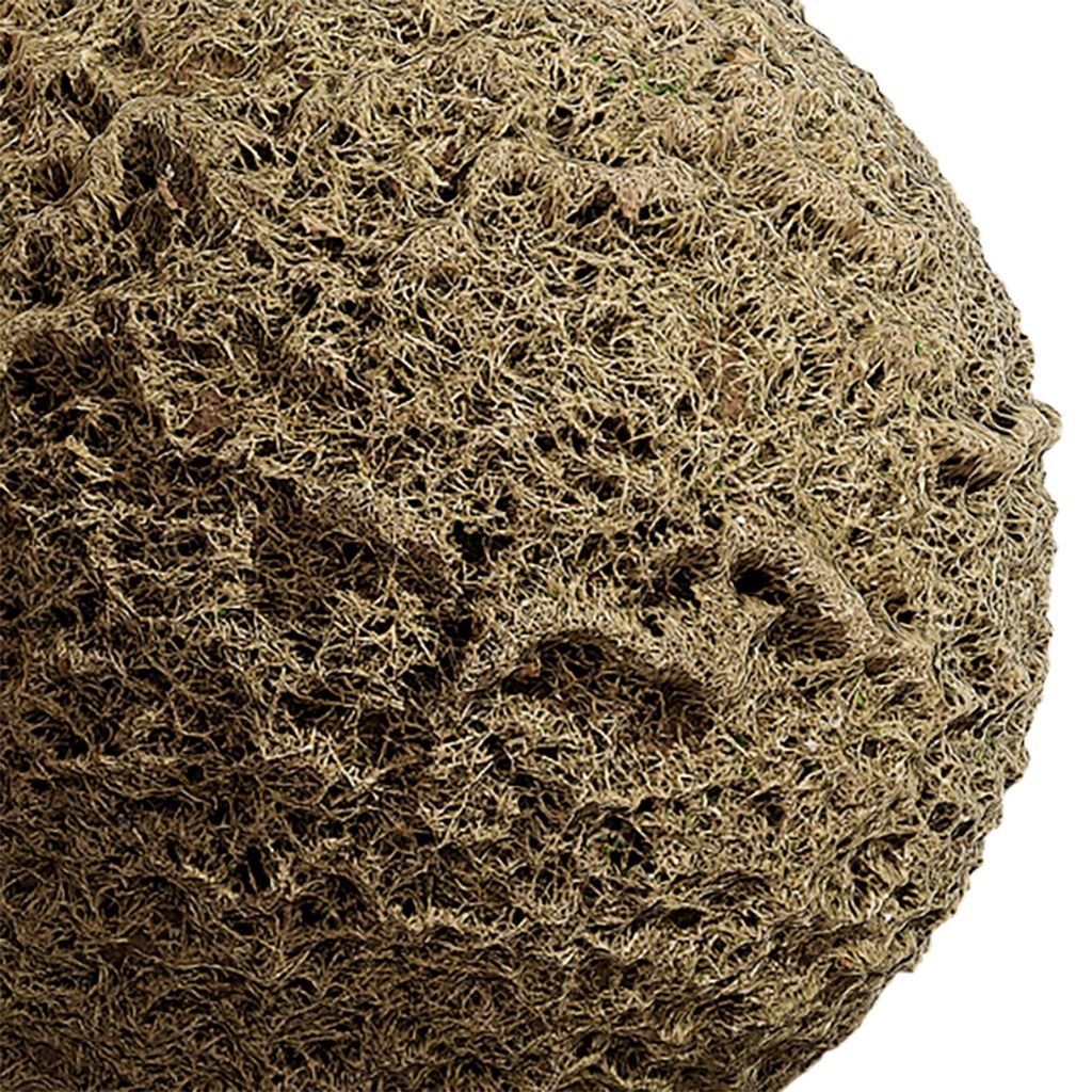 Grass Seamless Texture 2K - EXR 5 - JPG 5 Texture Texture_1