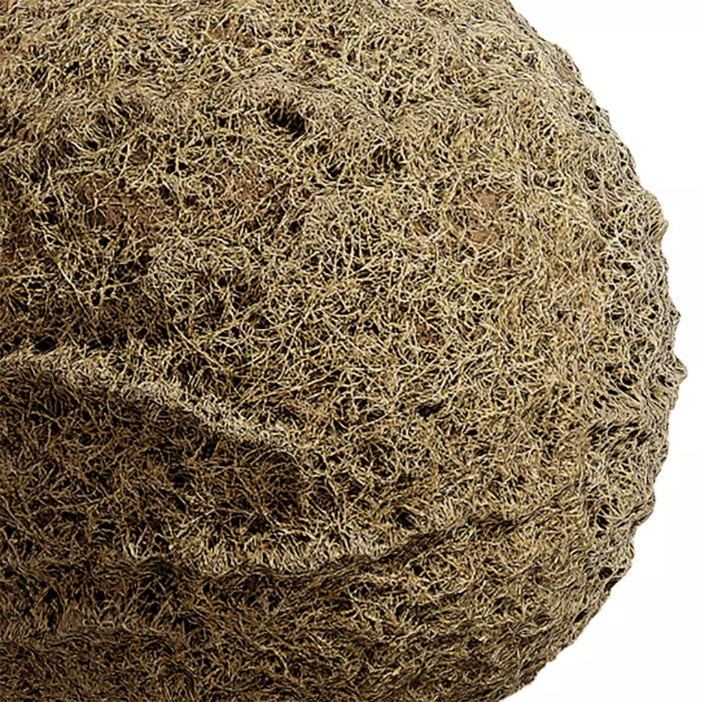 Grass Seamless Texture 2K - EXR 5 - JPG 5 Texture Texture_0