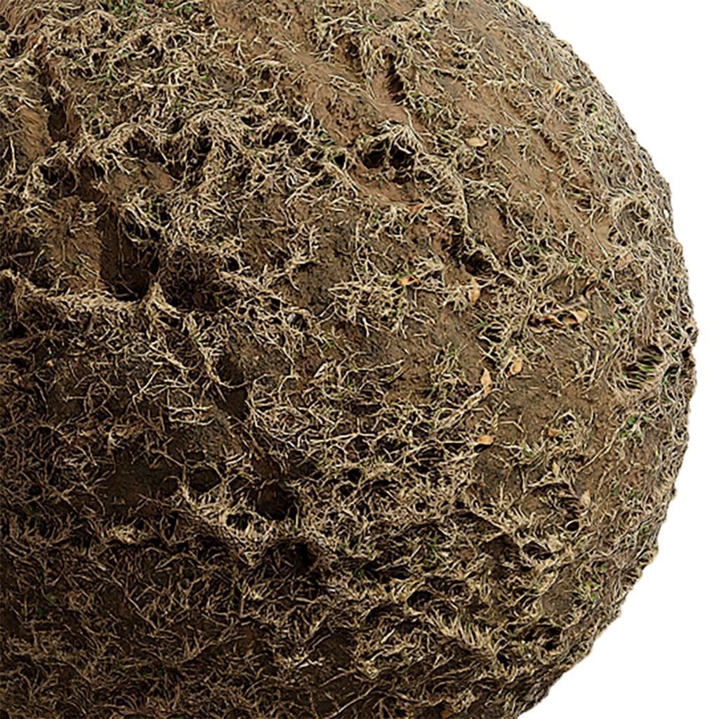 Grass Seamless Texture 2K - EXR 5 - JPG 5 Texture Texture_2
