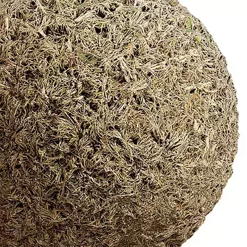 Grass Seamless Texture 2K - EXR 5 - JPG 5 Texture