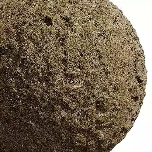 Grass Seamless Texture 2K - EXR 5 - JPG 5 Texture