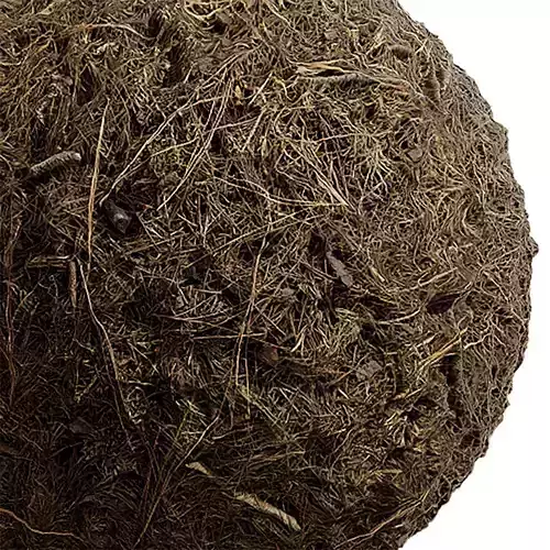 Grass Seamless Texture 2K - EXR 5 - JPG 5 Texture