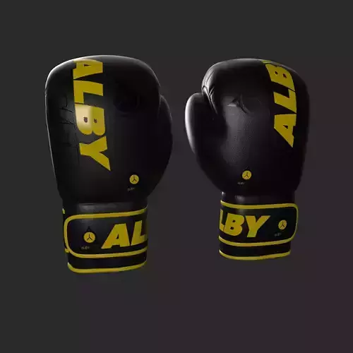 BOXING GLOVES AND GEAR
