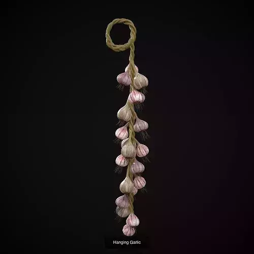 Six Hanging Food Stuffs  3D Model Pack 5