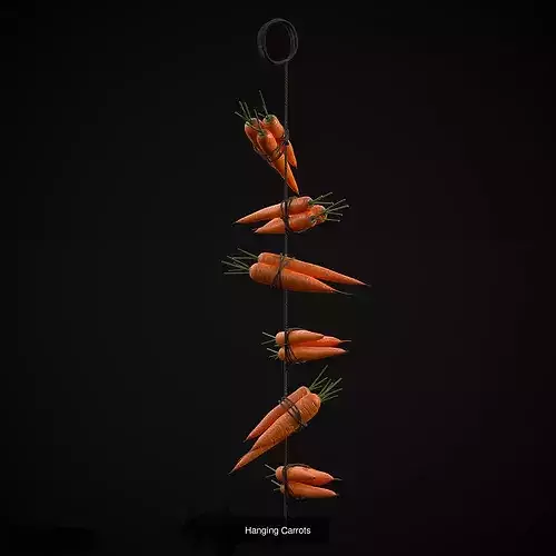 Six Hanging Food Stuffs  3D Model Pack 3