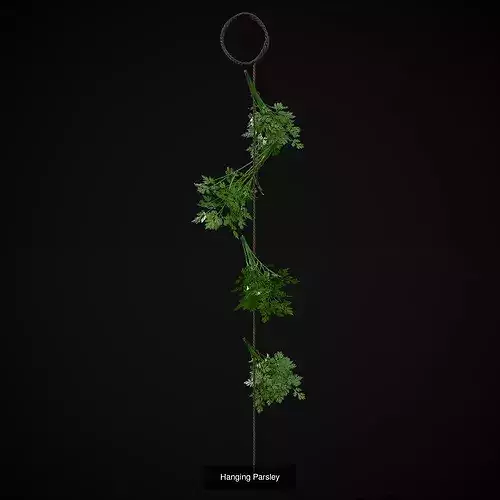 Six Hanging Food Stuffs  3D Model Pack 7