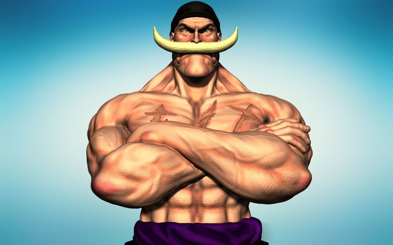 BARBABLANCA WHITE BEARD SHIROHIGE EDWARD NEWGATE BUST ONE PIECE  3D print model_2