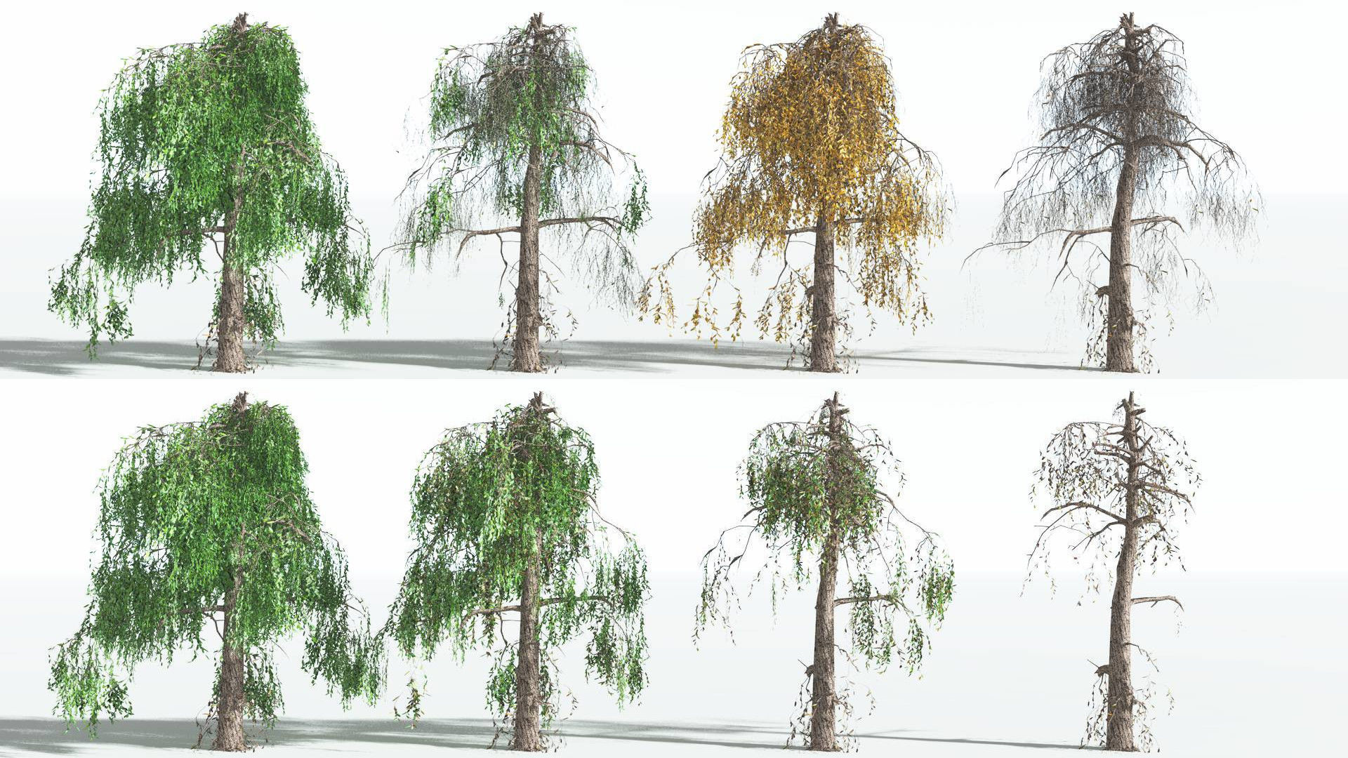 EVERYPlant Weeping Willow LowPoly 4 --15 Models-- Low-poly 3D model_1