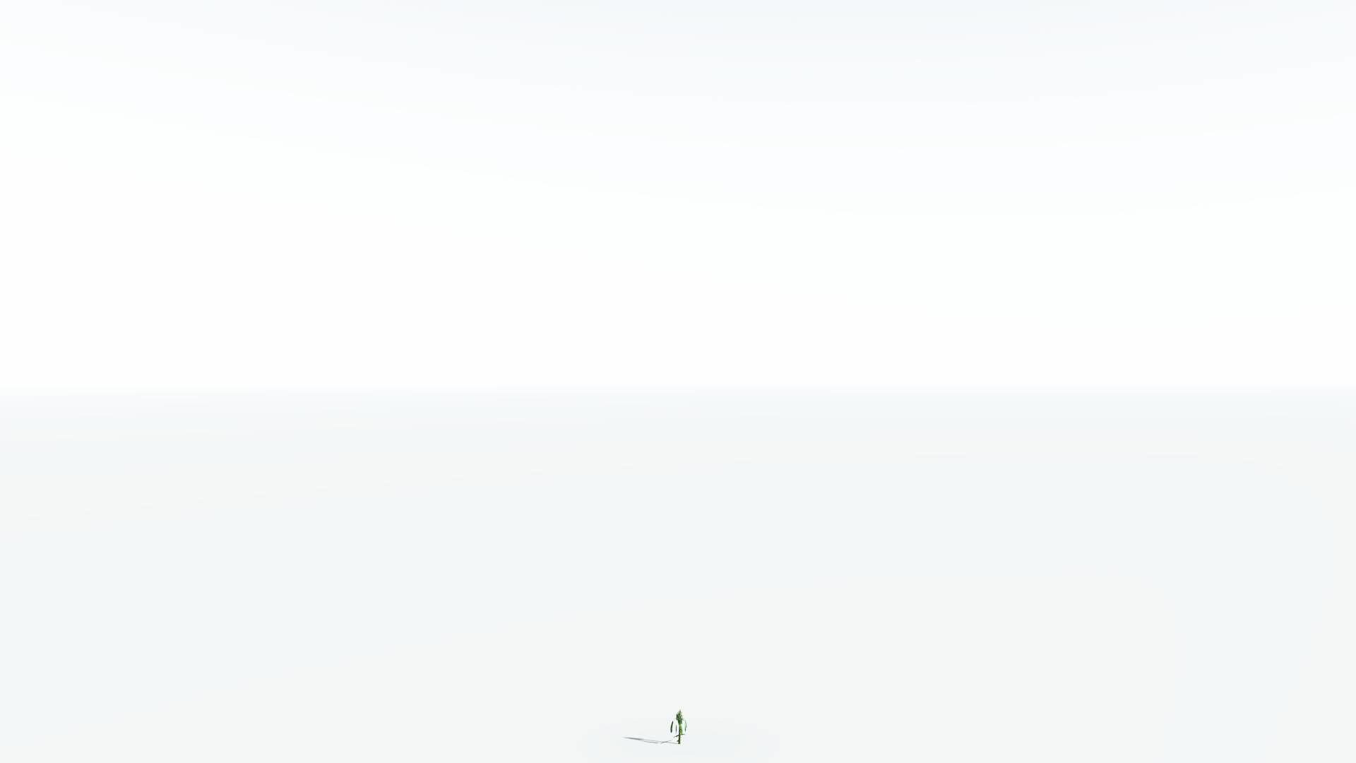 EVERYPlant Weeping Willow LowPoly 4 --15 Models-- Low-poly 3D model_27