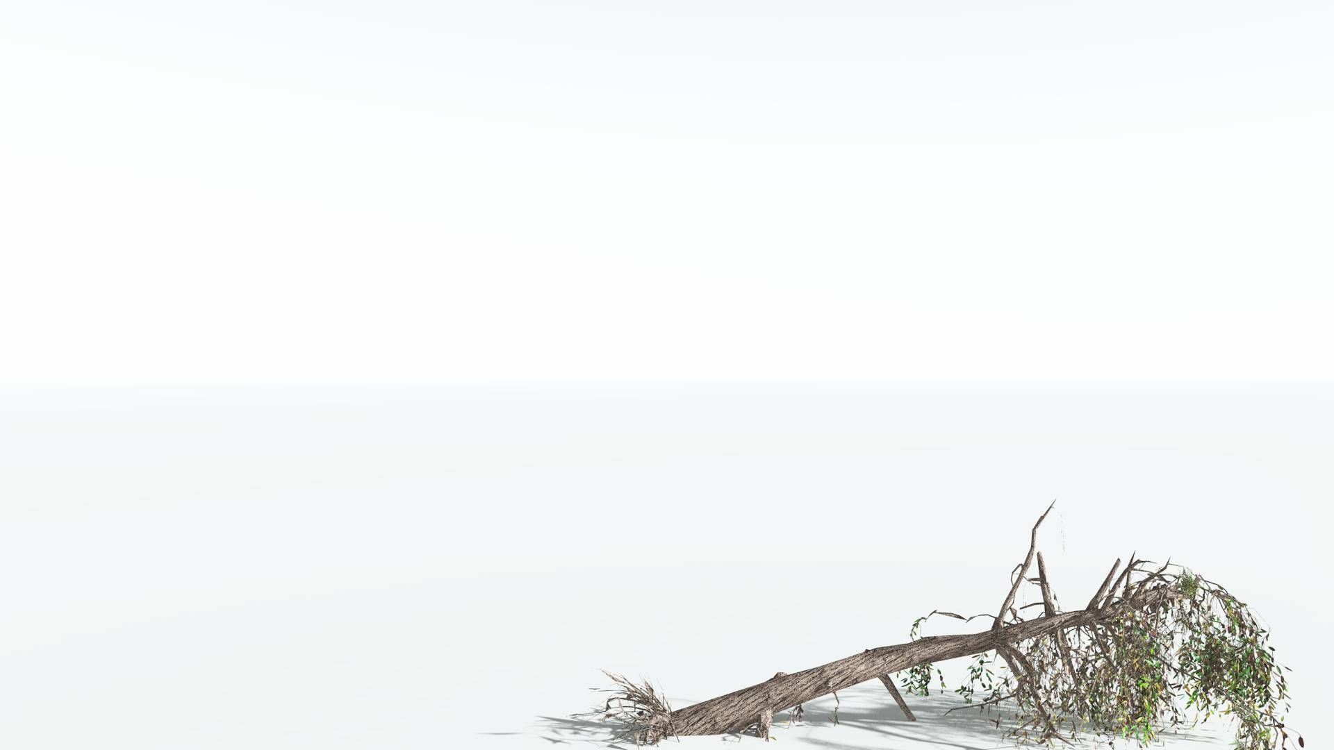 EVERYPlant Weeping Willow LowPoly 4 --15 Models-- Low-poly 3D model_19