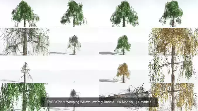 EVERYPlant Weeping Willow LowPoly Bundle --60 Models-- 3D Model Collection