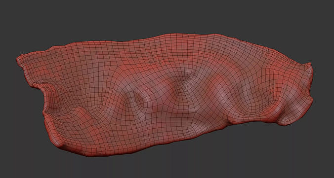 Bacon 3D model 7