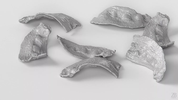 Bacon 3D model 4