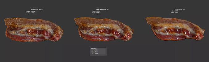 Bacon 3D model 6