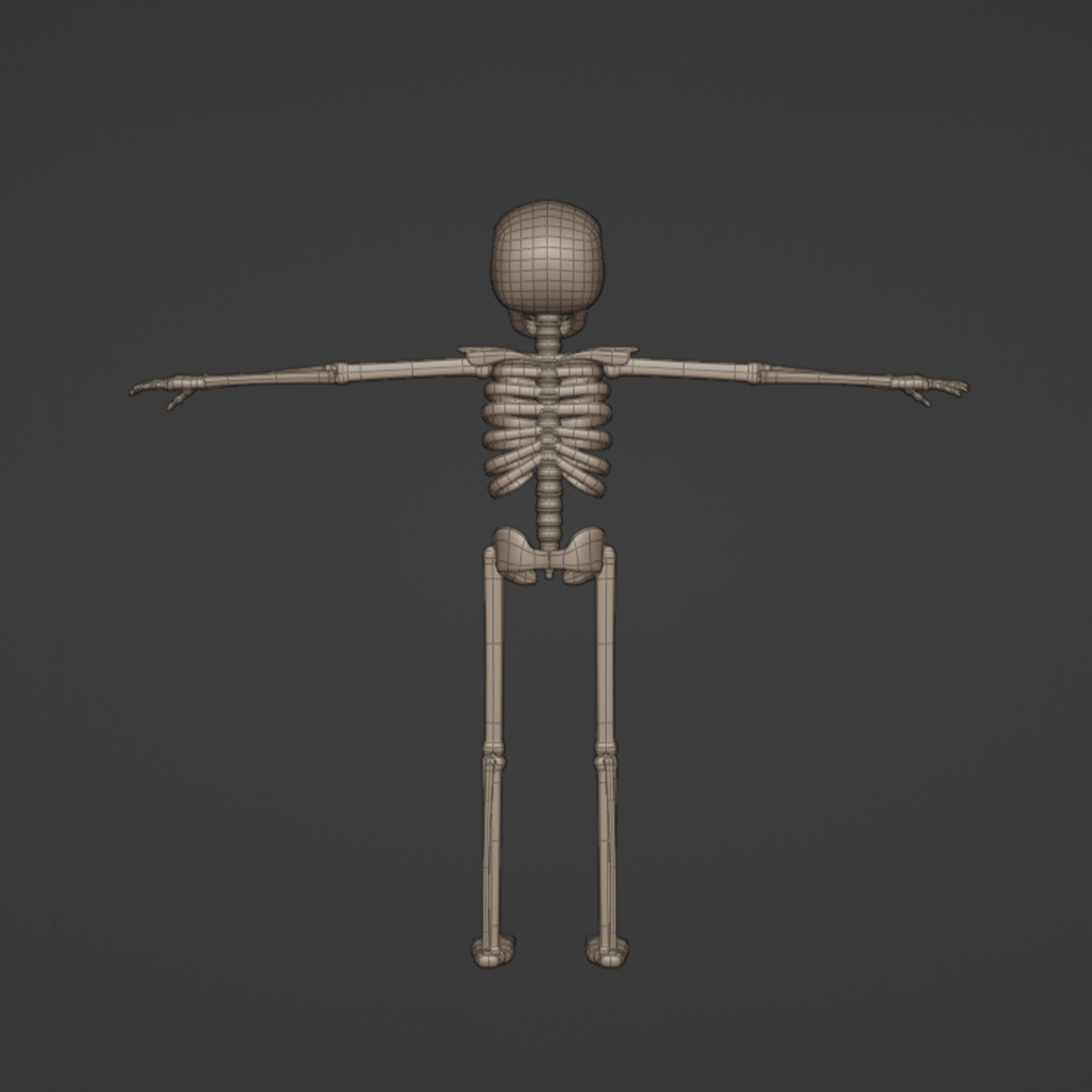 Human skeleton Stylized 3D model_5