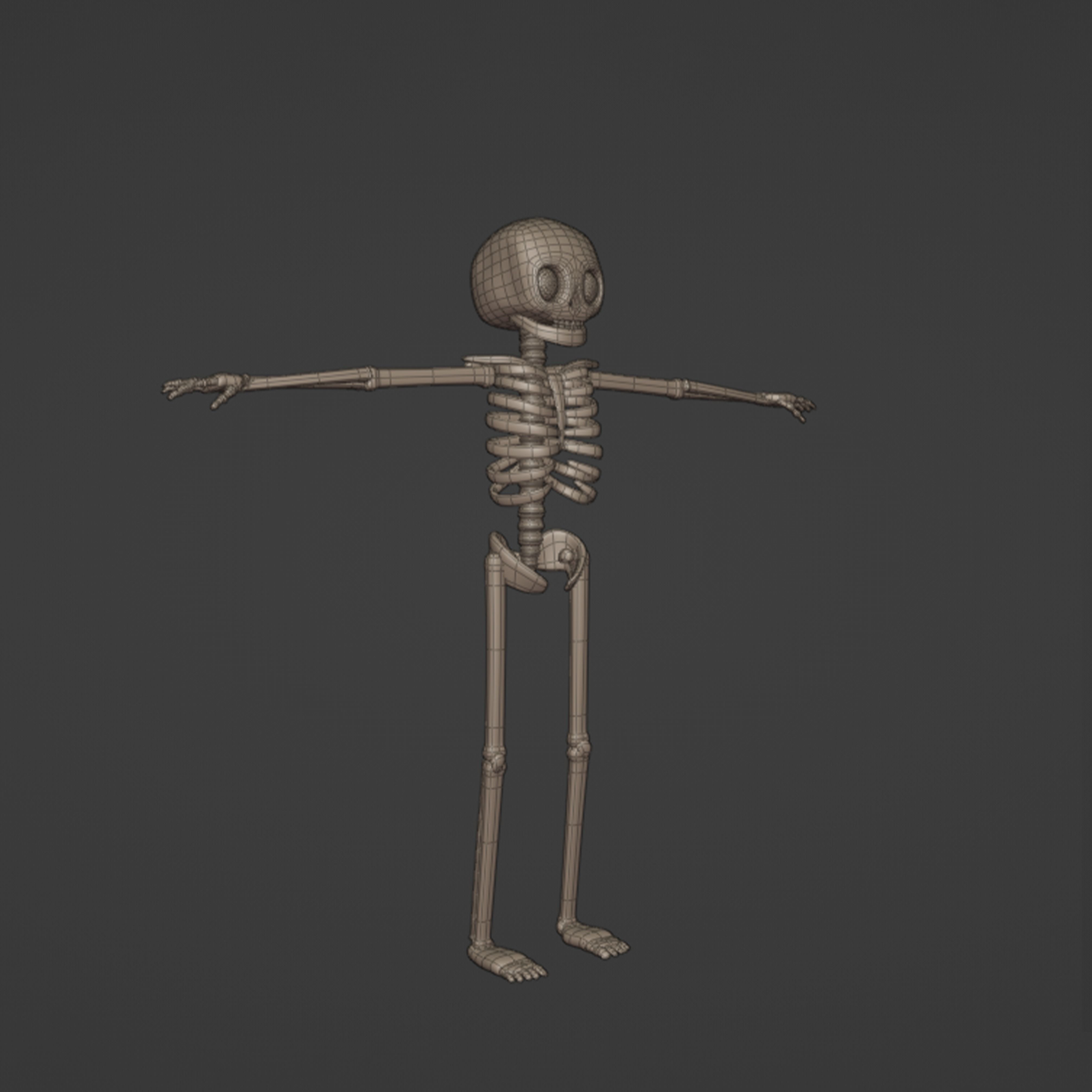 Human skeleton Stylized 3D model_4