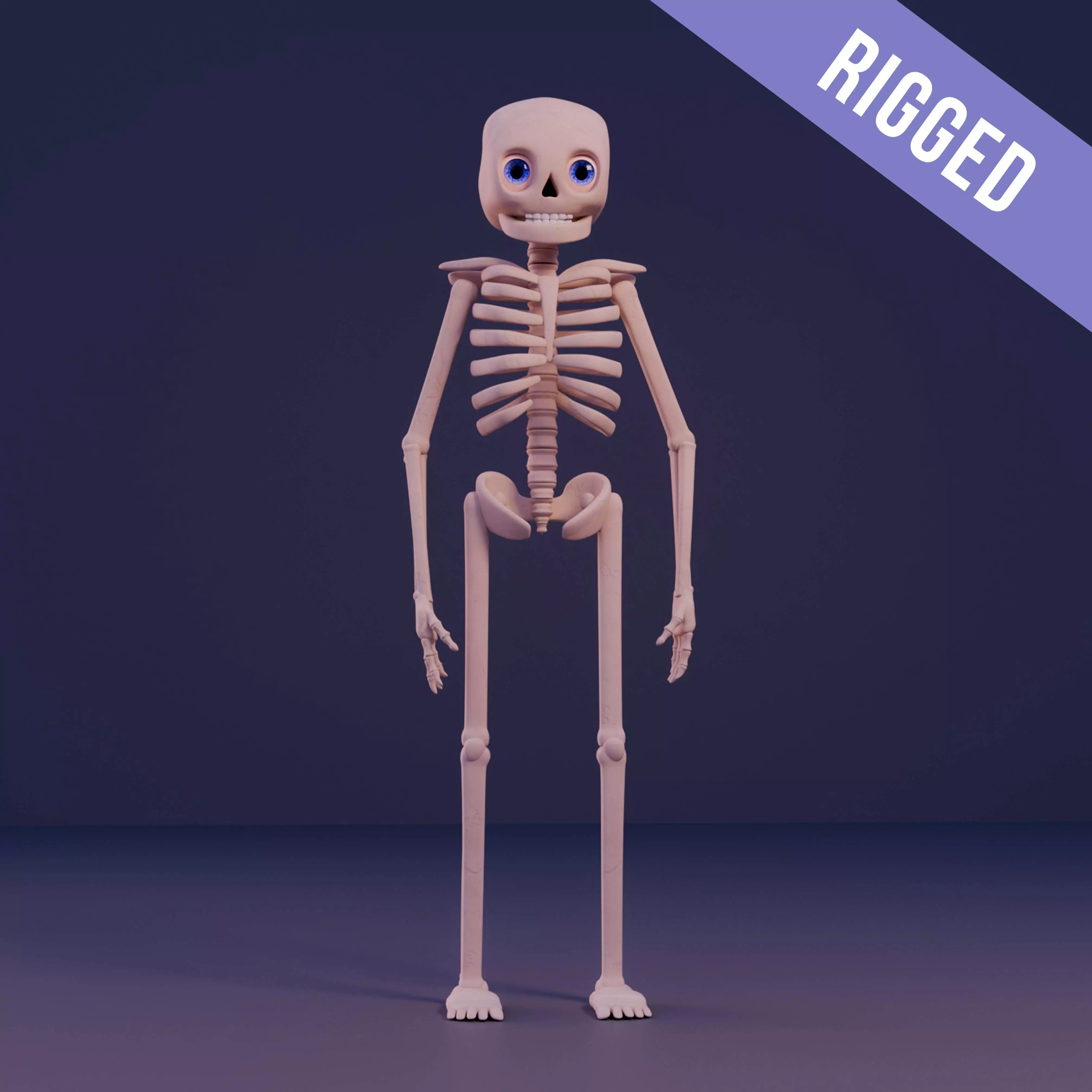 Human skeleton Stylized 3D model_0