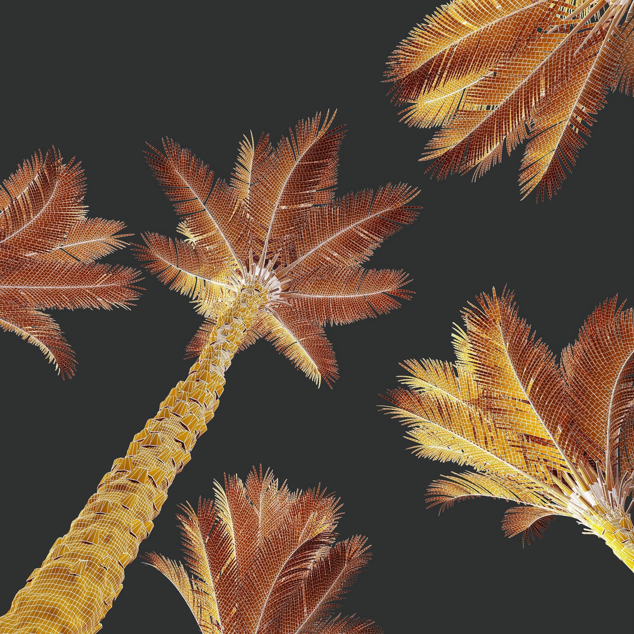 HQ Plants Phoenix Dactylifera Date Jurassic Palm Tree 3D model_4