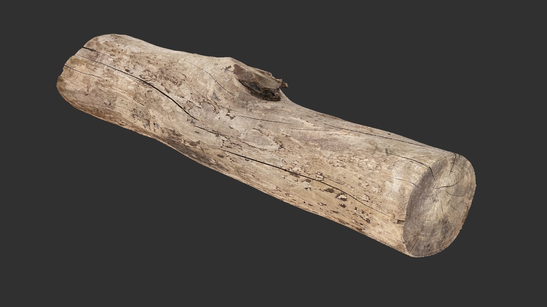 A length of wood 3d scan in highpoly 3D model_1