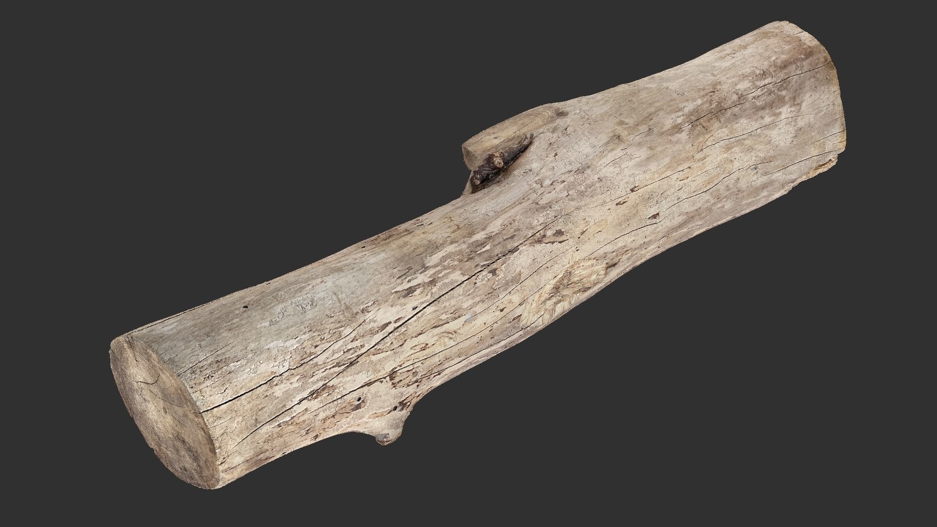 A length of wood 3d scan in highpoly 3D model_3