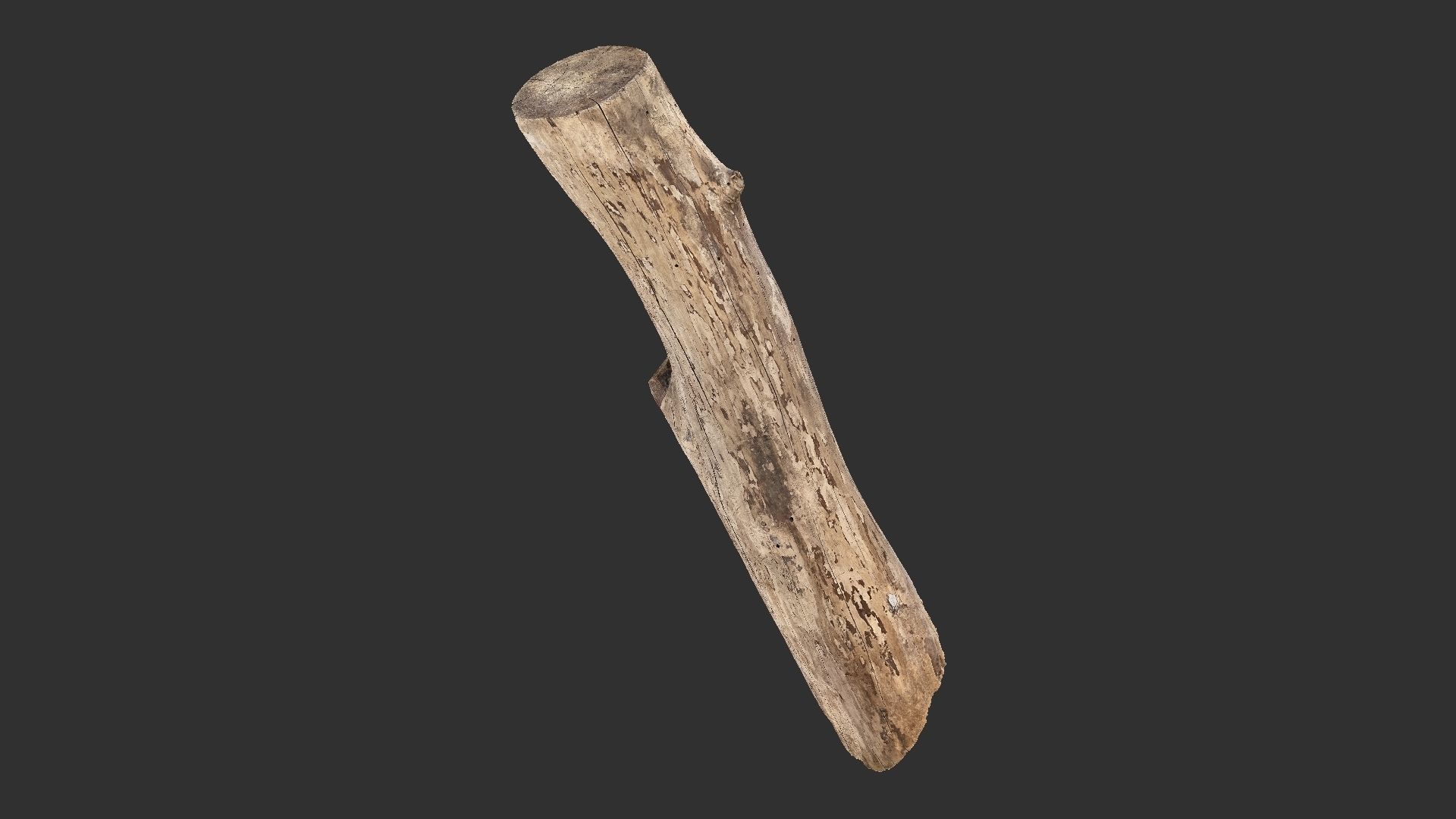 A length of wood 3d scan in highpoly 3D model_4