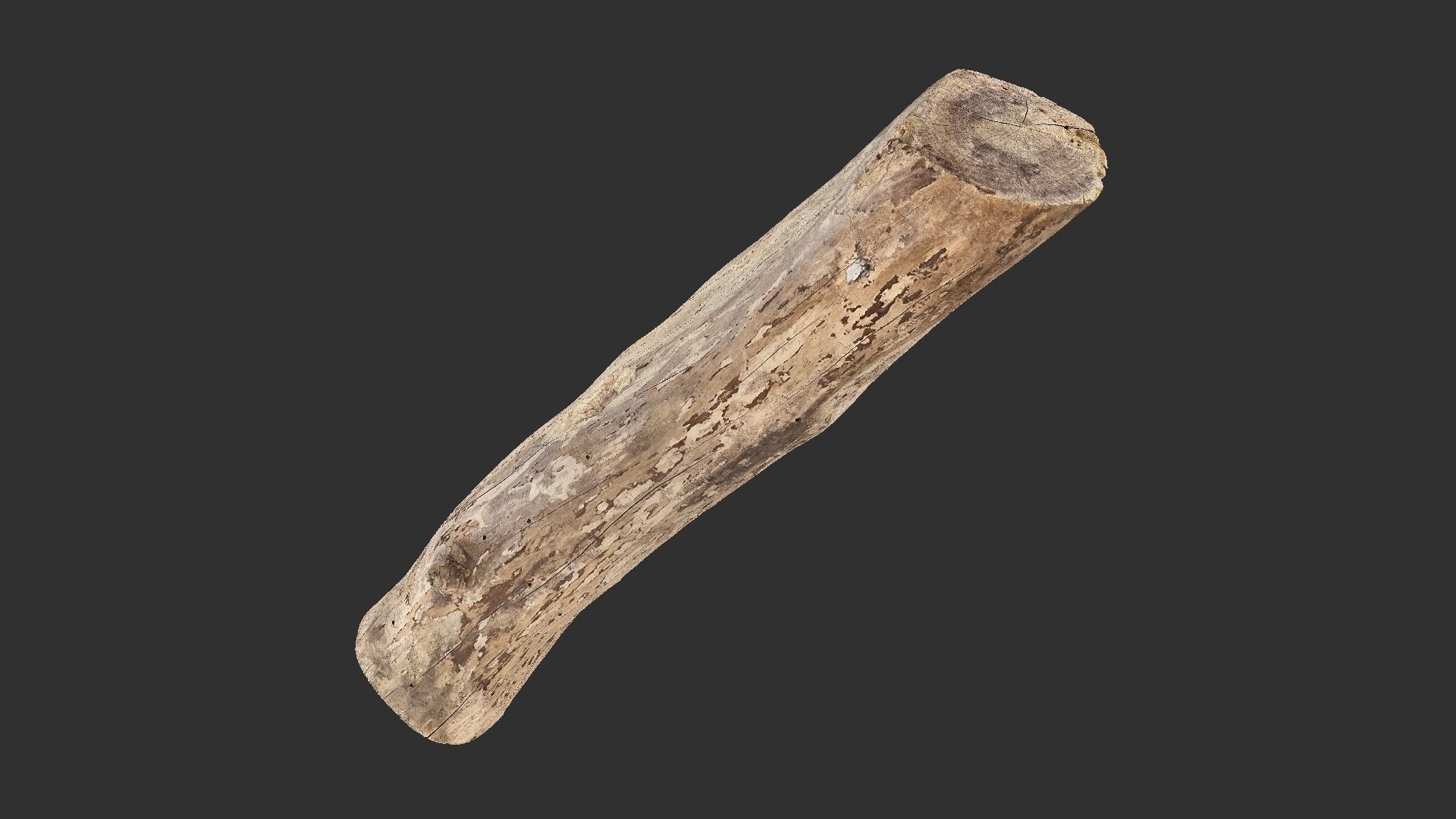 A length of wood 3d scan in highpoly 3D model_10