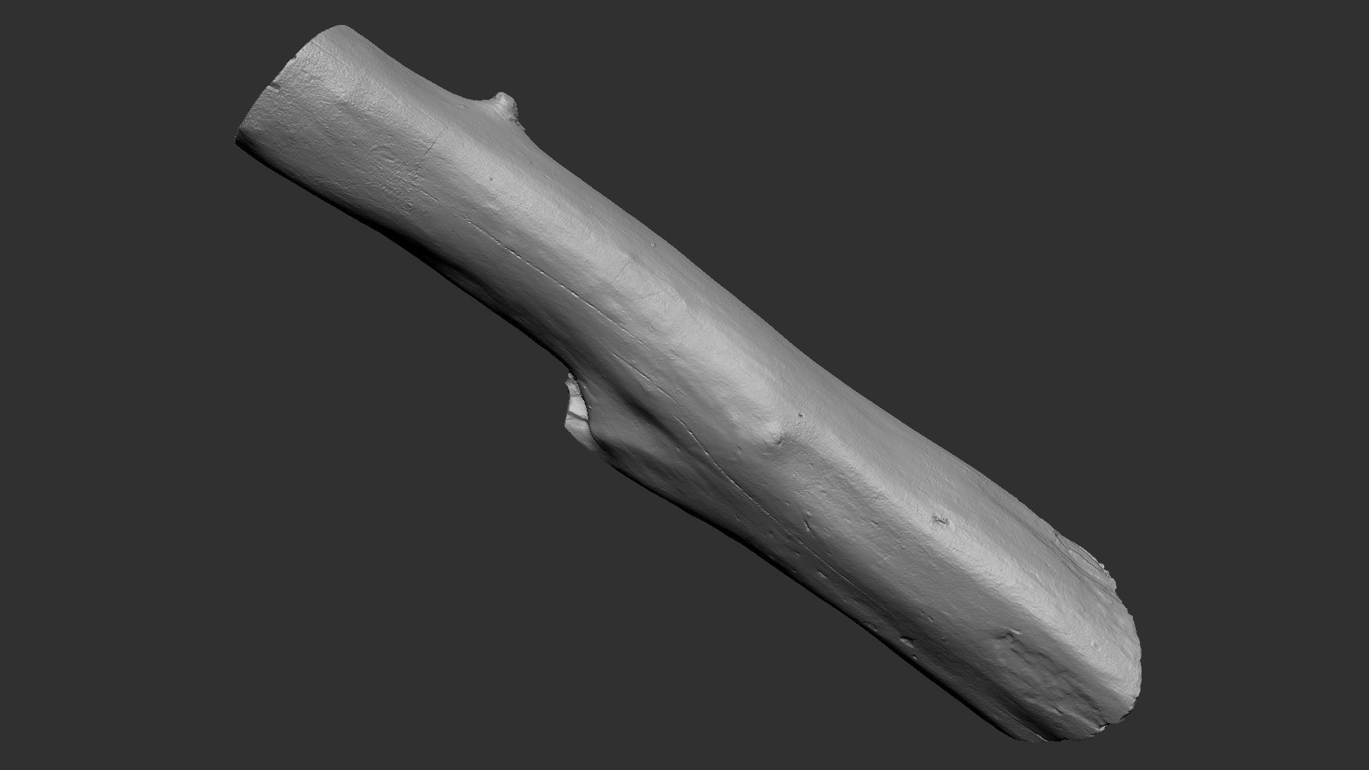 A length of wood 3d scan in highpoly 3D model_20