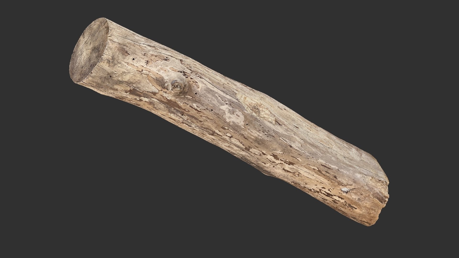 A length of wood 3d scan in highpoly 3D model_2