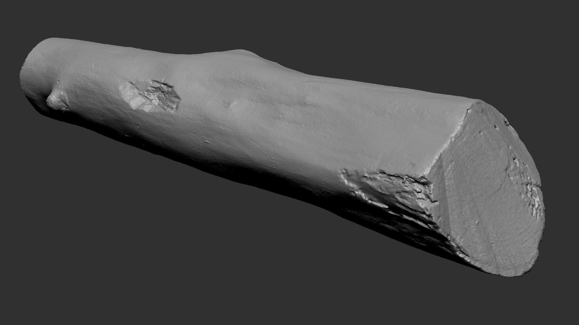 A length of wood 3d scan in highpoly 3D model_19