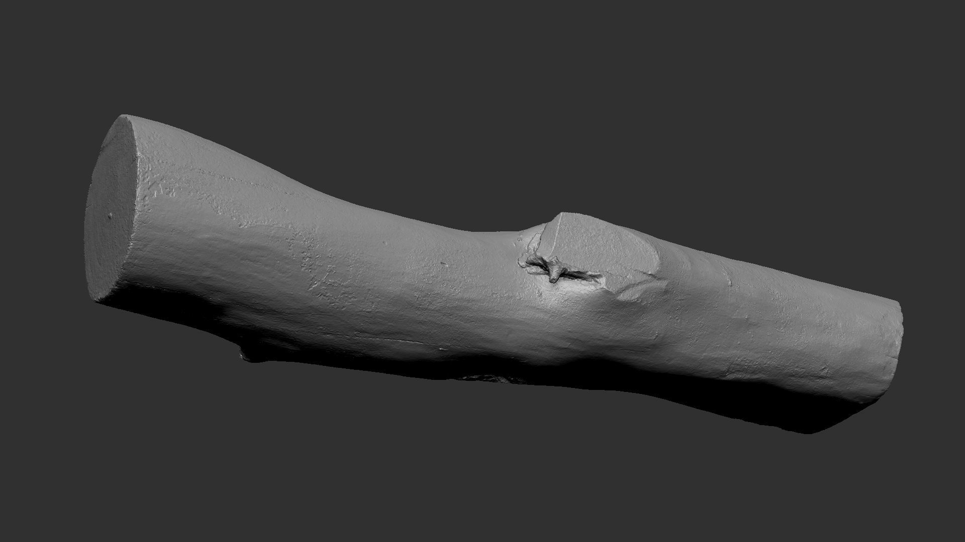A length of wood 3d scan in highpoly 3D model_18