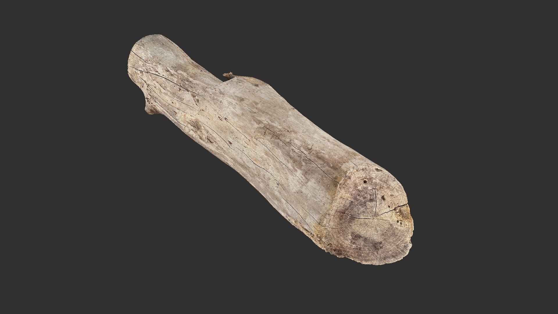 A length of wood 3d scan in highpoly 3D model_11