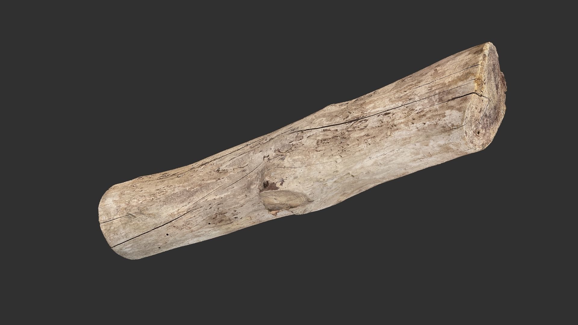 A length of wood 3d scan in highpoly 3D model_8