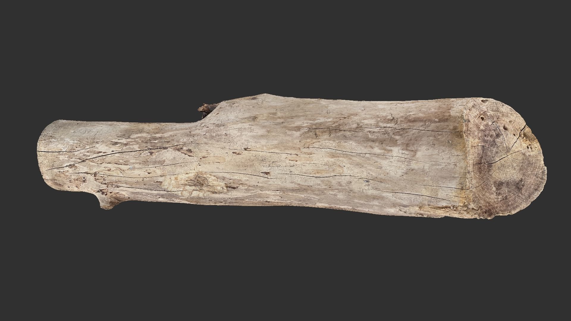 A length of wood 3d scan in highpoly 3D model_13