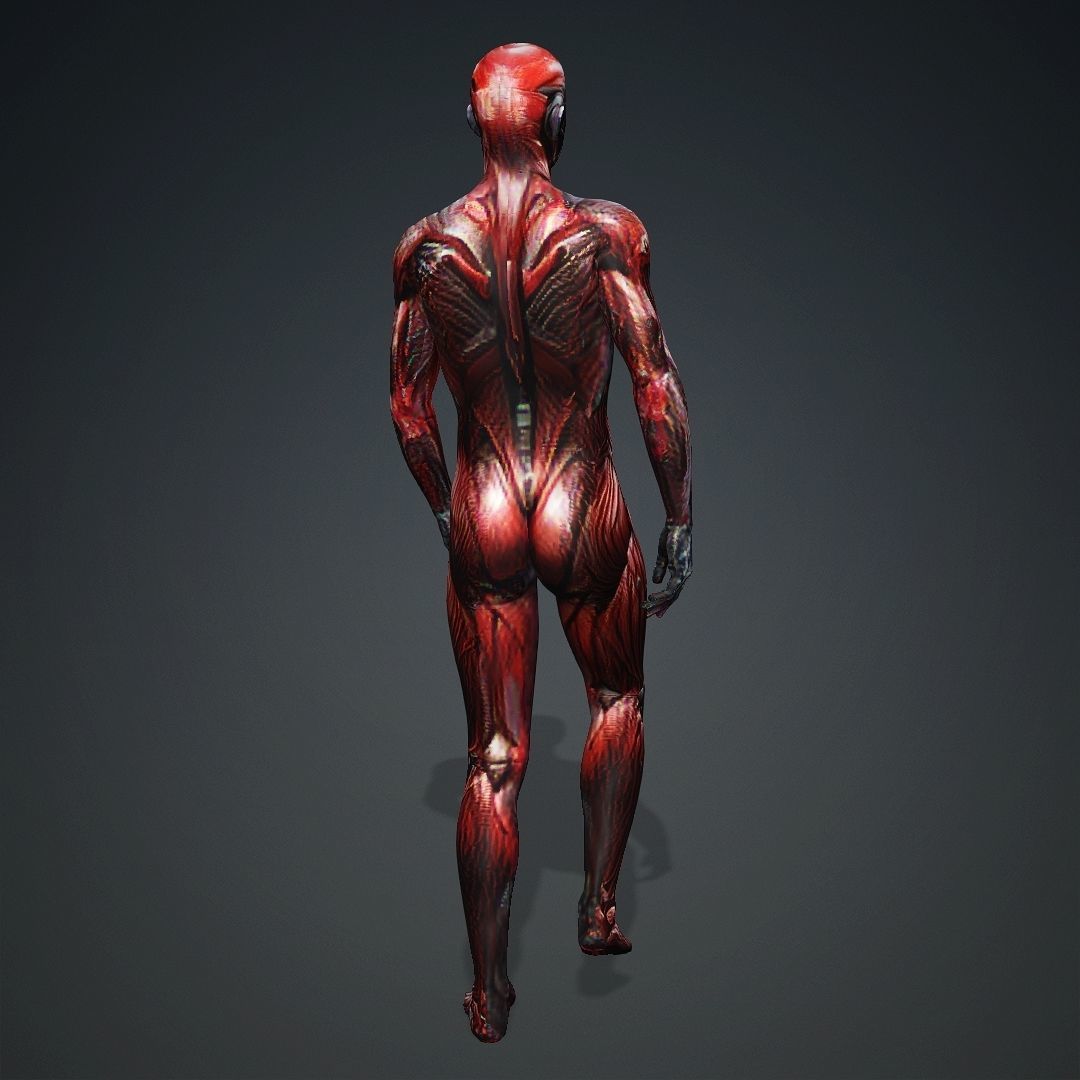 Crysis Nanosuit Avatar 3D model_4