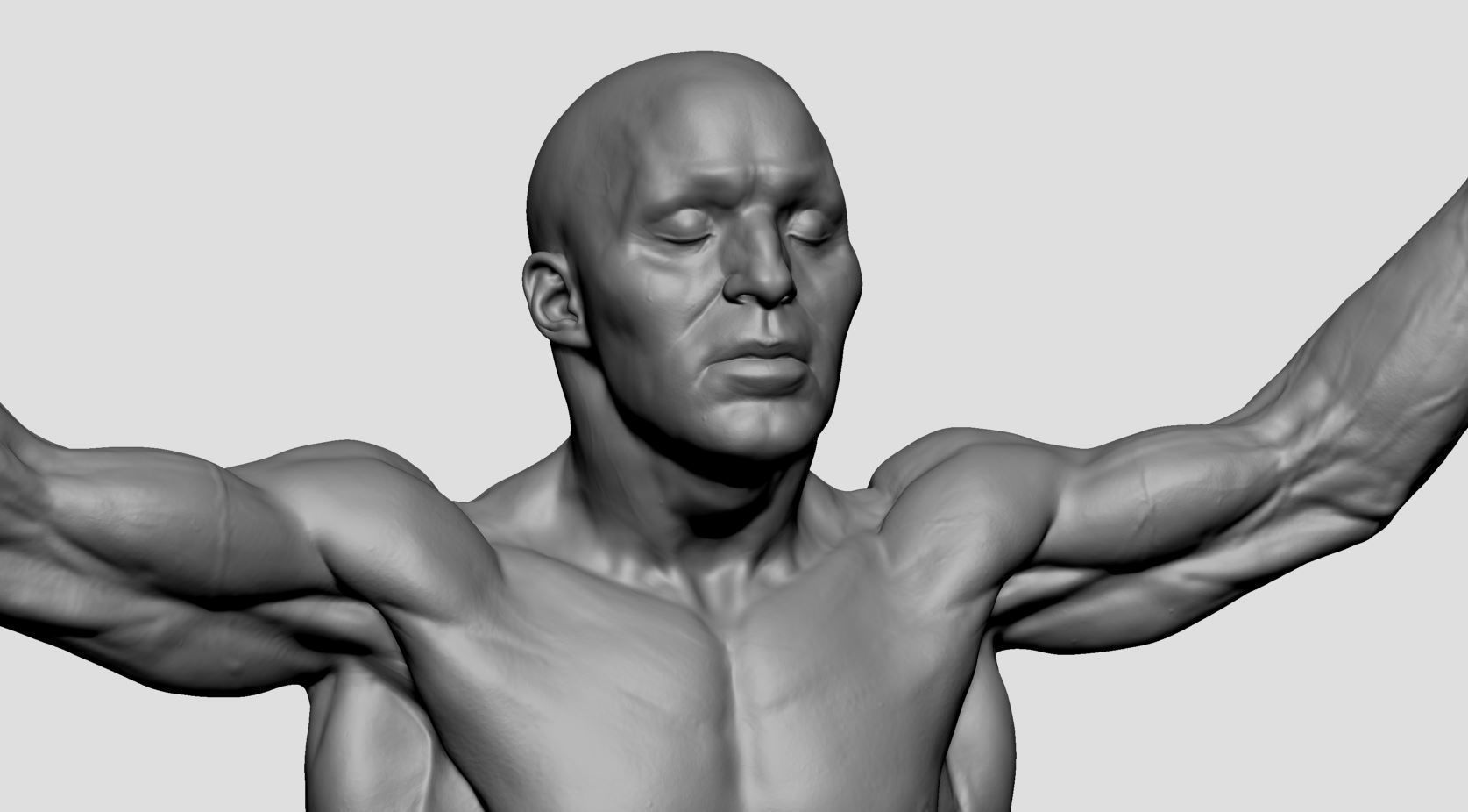 Human Anatomy Printable A 3D print model_6