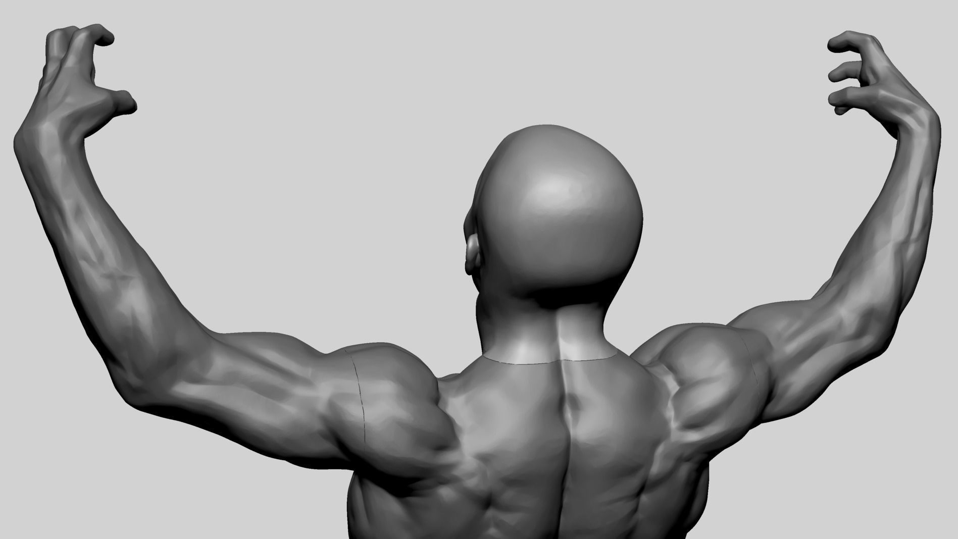 Human Anatomy Printable A 3D print model_1